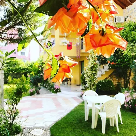 Apartment Vila Aliaj Luxury Rooftop For 2 With Air Conditioning Durres